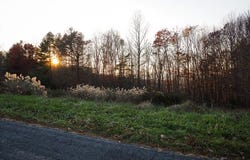 Pridemoore Rd. lot: 9, Galax, VA 24333