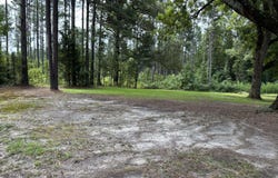 795 Ouachita 12, Chidester, AR 71726