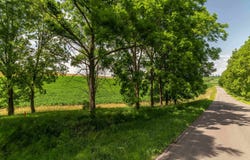Lot 17 19.1 Acres Hefty Road, Monticello, WI 53570