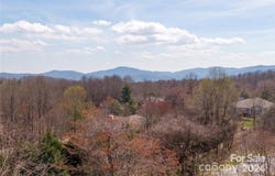 BERRY CREEK Drive, Flat Rock, NC 28731