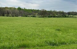 RUNNYMEAD RD, BUNKER HILL, WV 25413