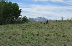 429 CARACARA LANE, Como, CO 80456