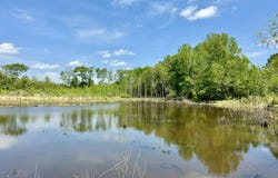 00019 Windermere Boulevard, Madison, MS 39110