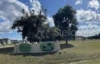 100 SIESTA CIRCLE, WELAKA, FL 32193