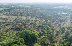 CR 241, Clyde, TX 79510