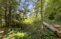 0 Blizzard Mines Road, Harriman, TN 37748