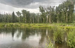 2544 CR 124, Hesperus, CO 81326
