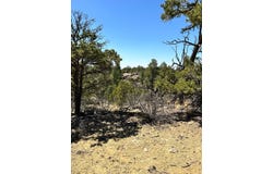 XX N Ranchero Rd, Pie Town, NM 87827