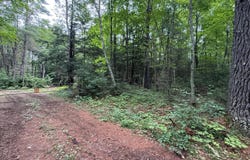 On BEARSKULL RD, Park Falls, WI 54552