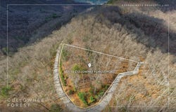 Cullowhee Forest Road lot: 55, Cullowhee, NC 28723