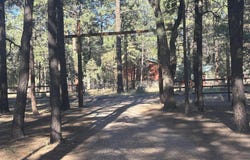 859 White Mountain Drive, Show Low, AZ 85901
