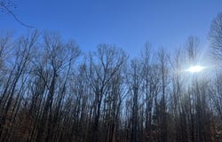 Excalibur Trail (Lot 261), Cedar Grove, TN 38321