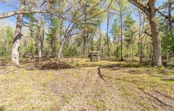 48 Acres Highway 82, Mauston, WI 53948