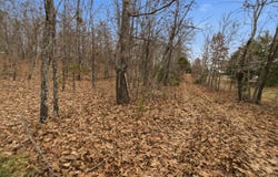 Old Highway 60, Mountain View, MO 65548