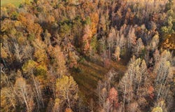 210 Singleton School Road, Eubank, KY 42567