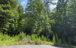 Lot 106 Asheland Cove, Young Harris, GA 30582
