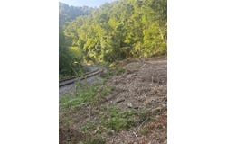 599 Pearl Hill Dr, Delbarton, WV 25670