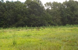 Grimsley Mill Road, Blakely, GA 39823