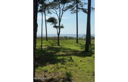 86 Martinangel Lane, Daufuskie Island, SC 29915