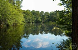 8433 Banks Dairy Road, Statesboro, GA 30458