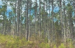 Attala County, Kosciusko, MS 39090