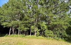 349 Lee Road, Waterproof, LA 71375