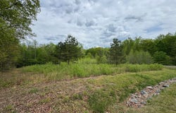 Lot 64 ARK AVENUE, BUMPASS, VA 23024