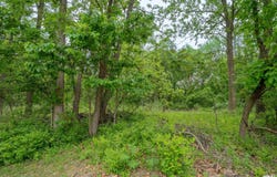 N STEWART Street, Creve Coeur, IL 61610