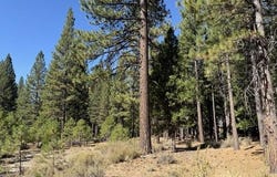 119 Saddle Ridge Road, Clio, CA 96106