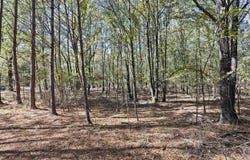 307 Highway, Bluffton, AR 72827