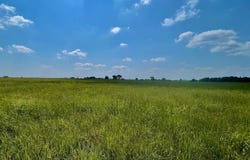Tbd County Road 1520, Bonham, TX 75418