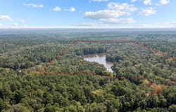 649 An County Road 1215, Grapeland, TX 75844
