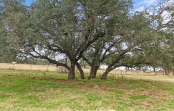 Tbd FM 2201, Santo, TX 76472