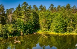6 Kushaqua Mud Pond Rd Road, Onchiota, NY 12989