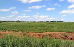 Tbd Upper Branch Way, Palo Pinto, TX 76484