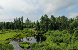 Lot 38.1 Chipper Road, Kingman Twp, ME 04451