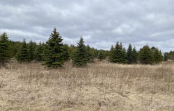 Lt2 E Hawthorne Dr, Fredonia, WI 53021