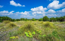 Lot 33 Spring Bluff, Junction, TX 76849