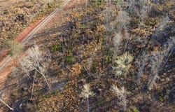 1374 Hopewell Road, Forsyth, GA 31029