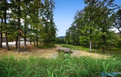 49 Watson Grande Way SE, Owens Cross Roads, AL 35763