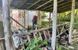 Gravelly, AR 72838