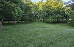 113 Locust Grove Drive, Georgetown, KY 40324