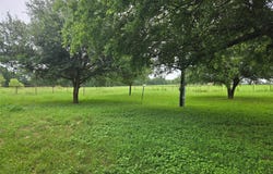 3242 E Fm 696, Lexington, TX 78947