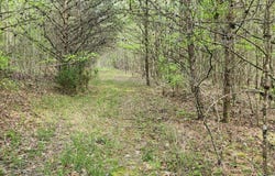 0 Old Holy Water Road, Tracy City, TN 37387