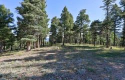 Vail Overlook S lot: 324, Angel Fire, NM 87710