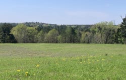 3 FOLD RD, Atlanta, TX 75551