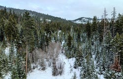 Nhn McGinnis Meadows - Bayhorse Road Section 1, Libby, MT 59923