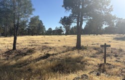 Shoshoni Loop, Fall River Mills, CA 96028