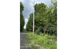 L11 C Buel Road, Conesville, NY 12076