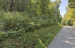 Powder Mill Lane, LaFollette, TN 37766